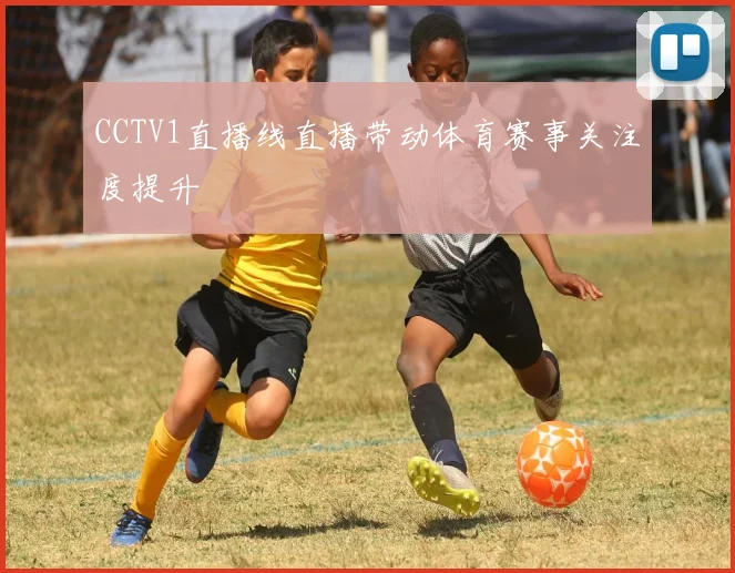CCTV1直播线直播带动体育赛事关注度提升